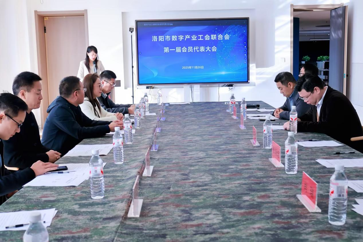 关于洛阳市数字产业工会联合会第 一届会员代表大会选举结果的批复